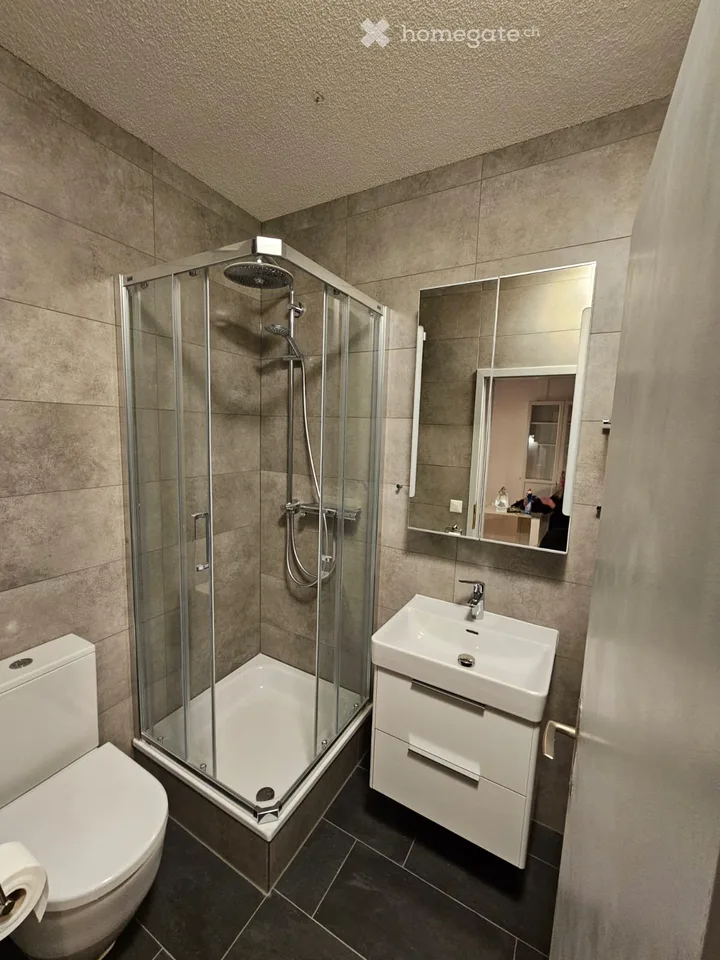 Appartamento studio arredato in affitto a Bitsch, Vallese