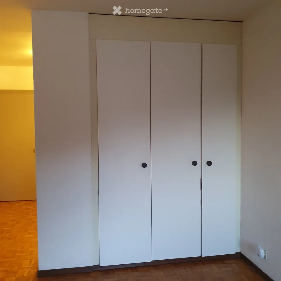 Monolocale in affitto a Monthey