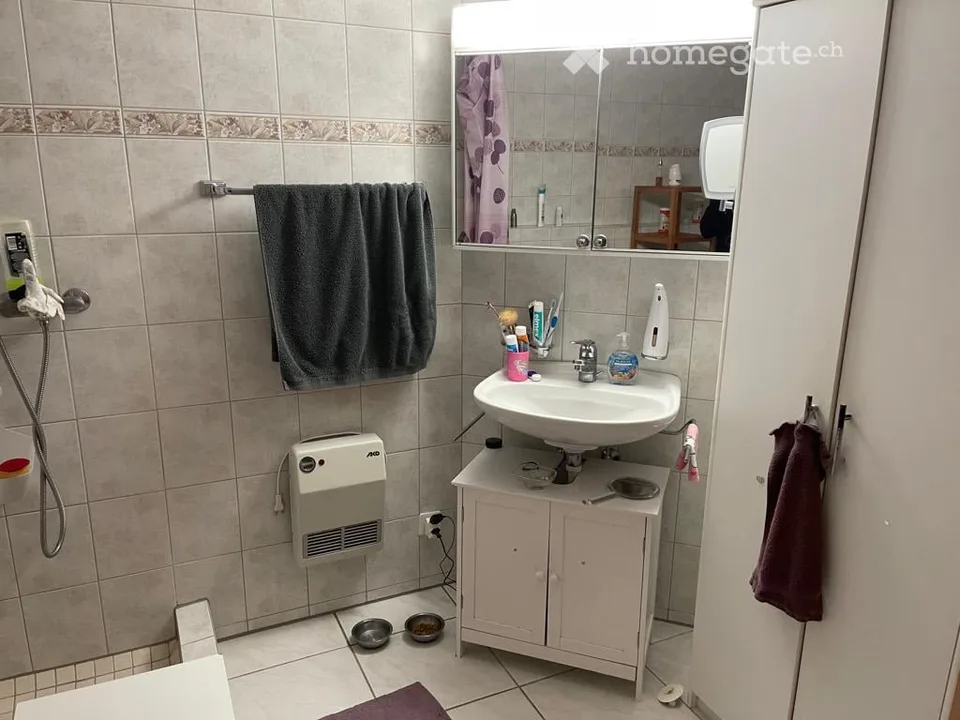 Appartamento 3,5 locali