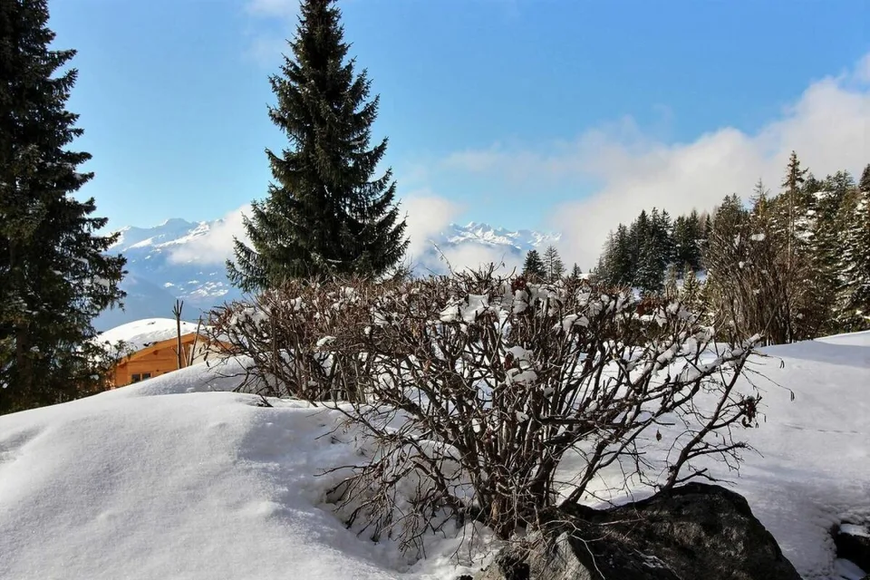 AV 4/Mars - 004 Location semaine – photo 8 sur 10