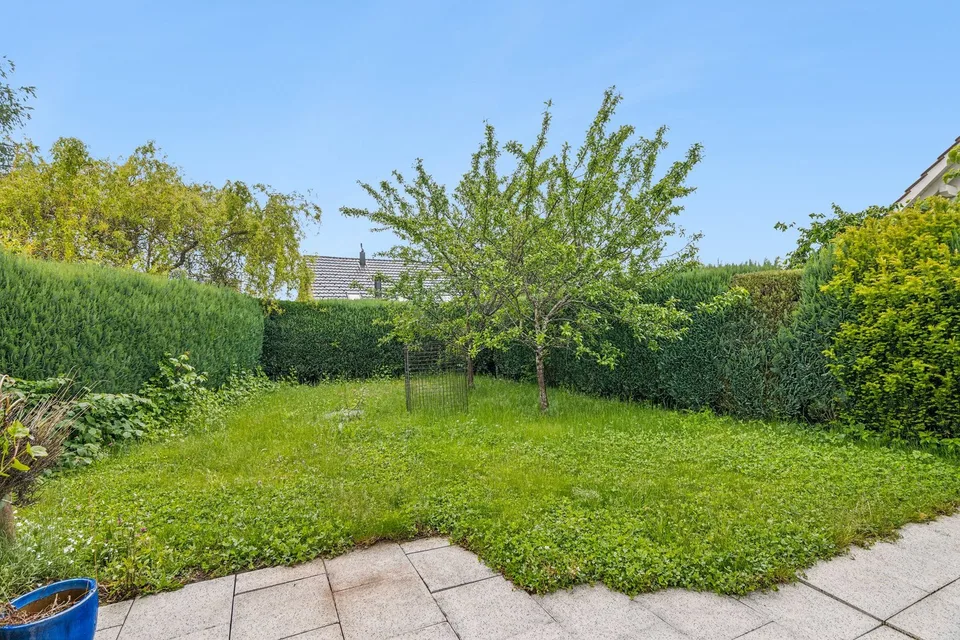 Unverbaubare Aussichtslage über Hägendorf mit viel Privatsphäre – Foto 10 von 13