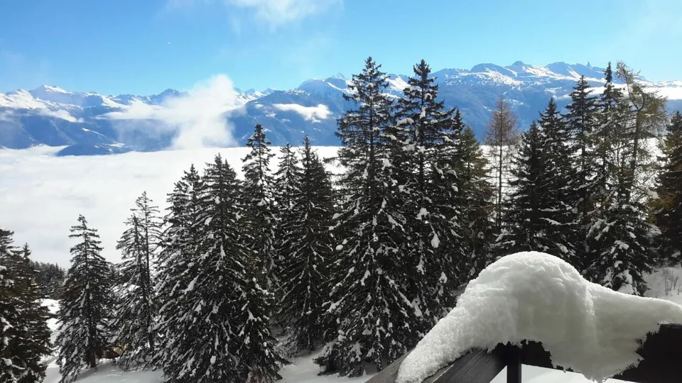 Weekly rental Apartment 3-rooms in Anzère
