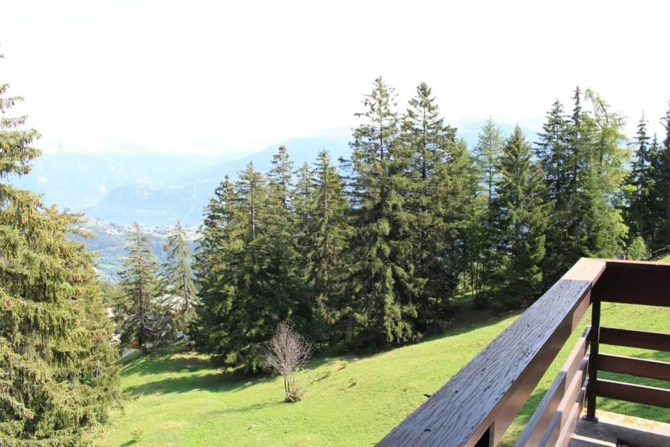 Weekly rental Apartment 3-rooms in Anzère