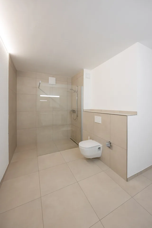 Large family apartment in a green and central location