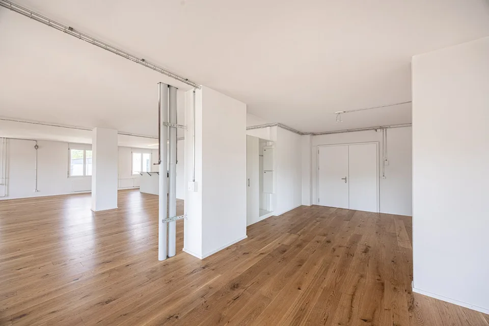 Large family apartment in a green and central location