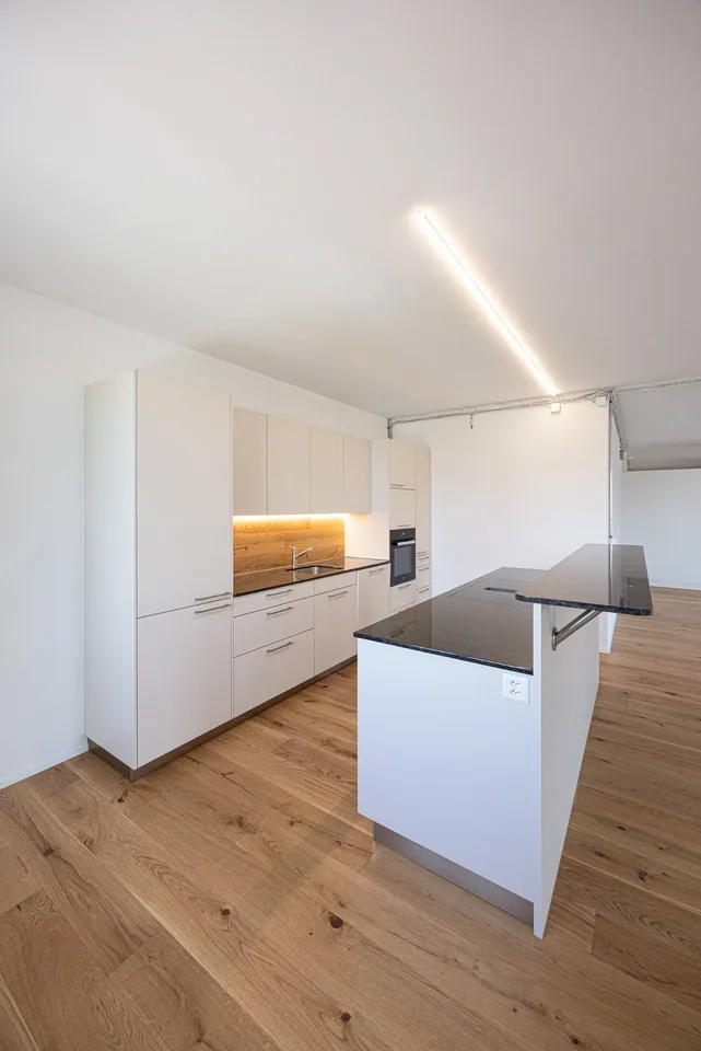 Large family apartment in a green and central location