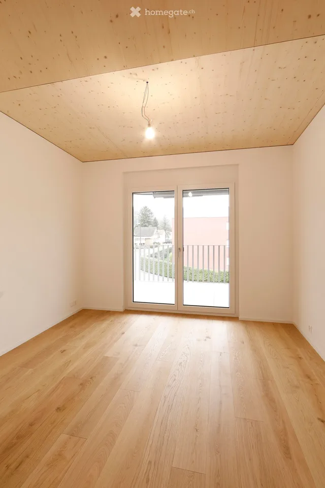 Modern 4.5-room attic apartment with mountain view in Oberriet SG