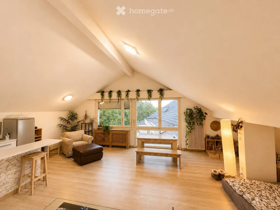 Charming furnished attic apartment in Coppet
