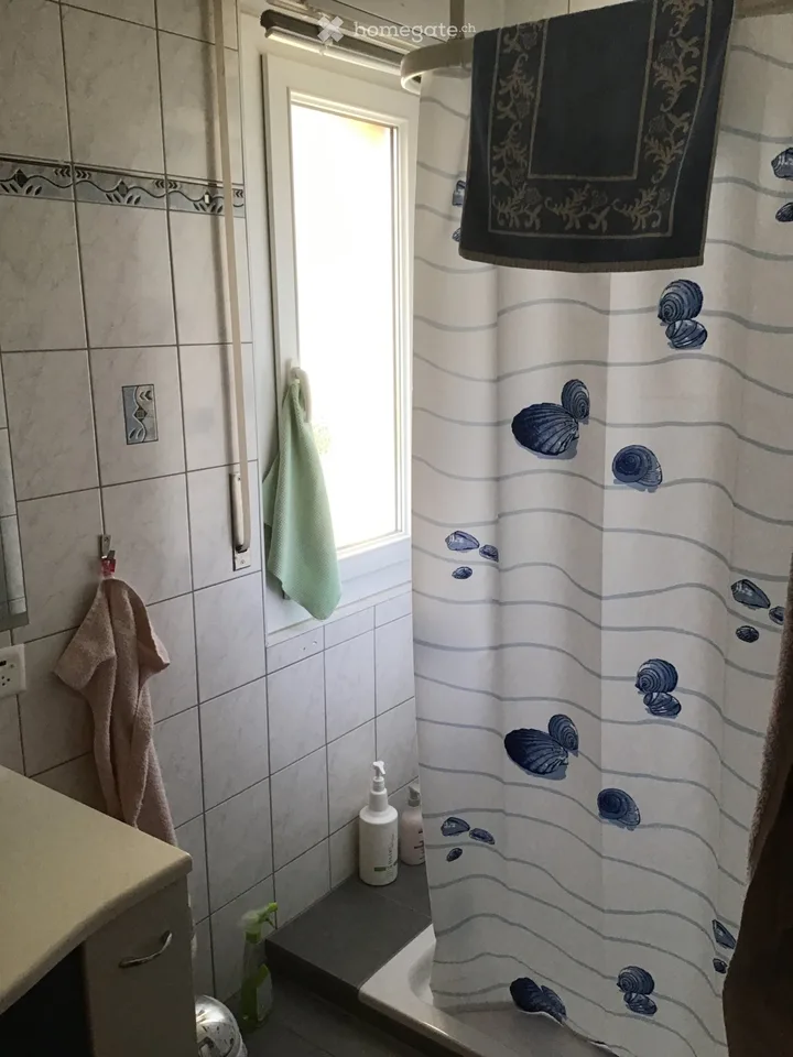 Wohnung mit 4,5 Zimmern zur Miete im Zentrum von Veyras