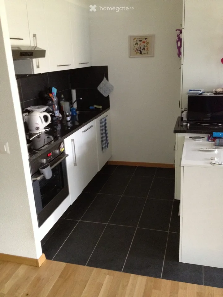 2,5 Zimmer Sion am Ufer des Rheins 1530 CHF Parkplatz/Gebühren – Foto 2 von 5
