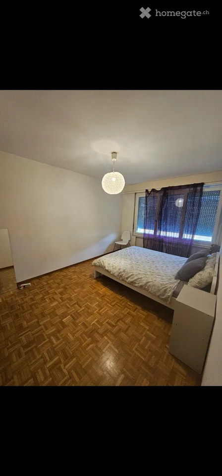 Apartment with 2 bedrooms in Meyrin, Geneva