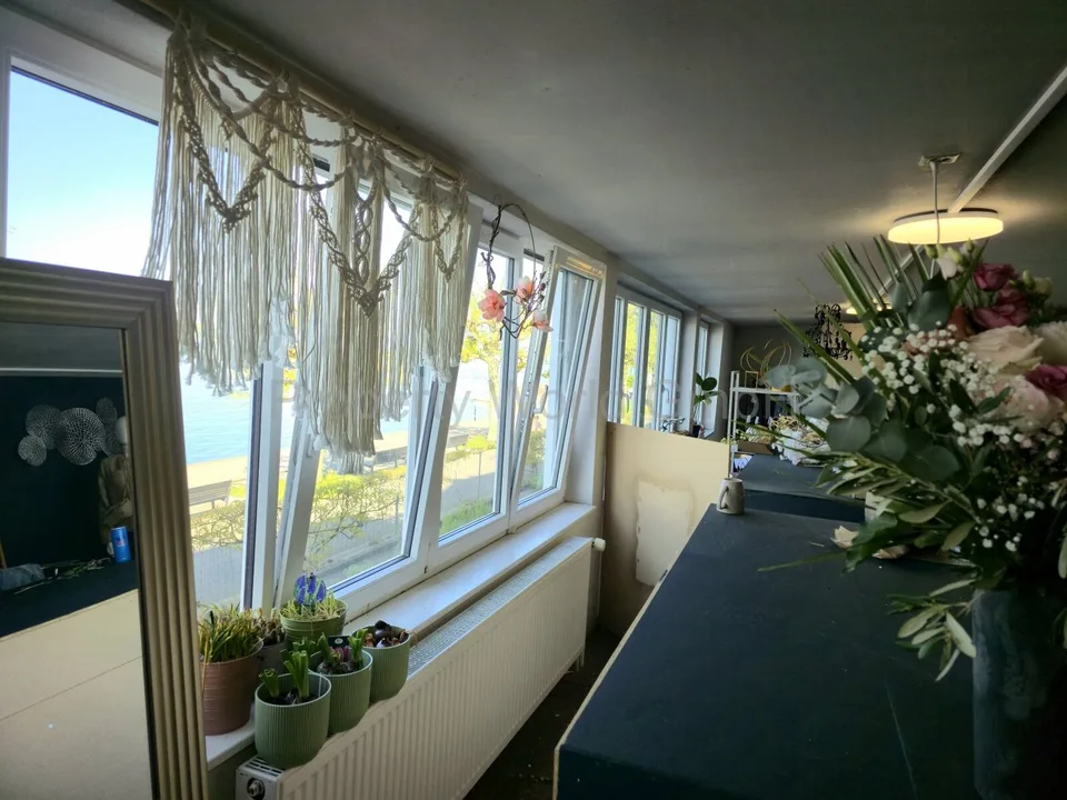 Rorschach hat viele Fenster - Dieses hier schaut anders – Foto 10 von 11