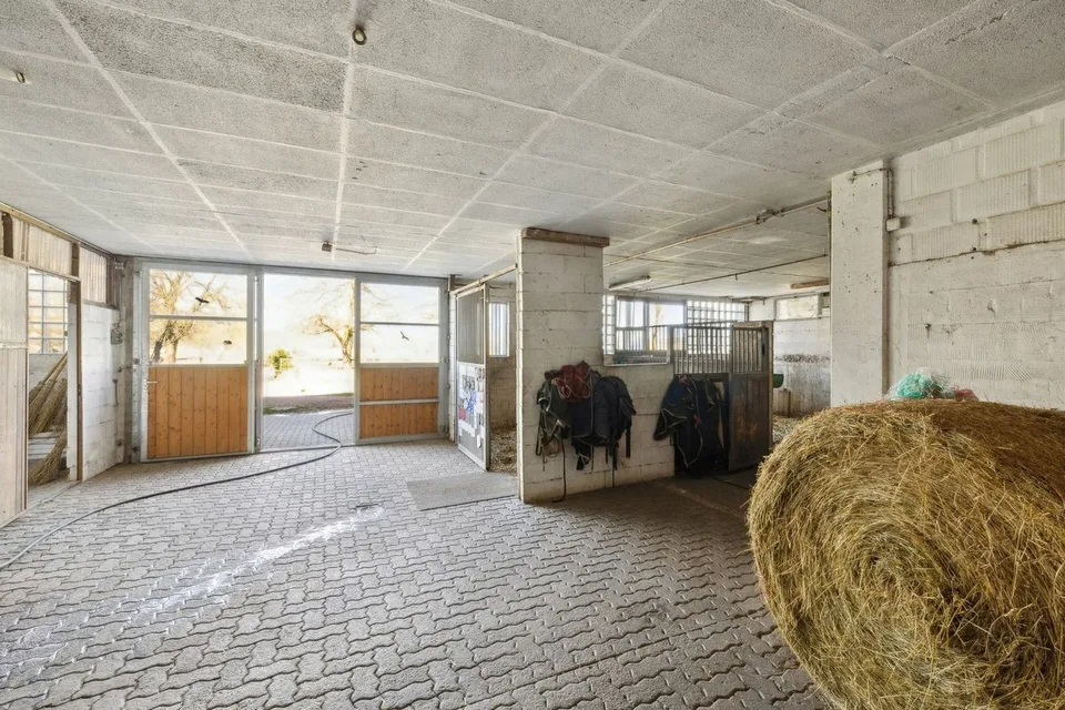 Esclusiva SOTHEBY'S Centro Equestre con Rendita – foto 7 di 13