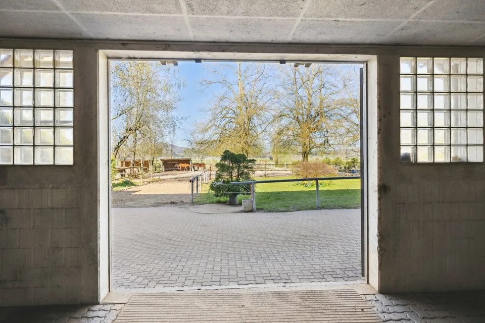 Esclusiva SOTHEBY'S Centro Equestre con Rendita – foto 9 di 13