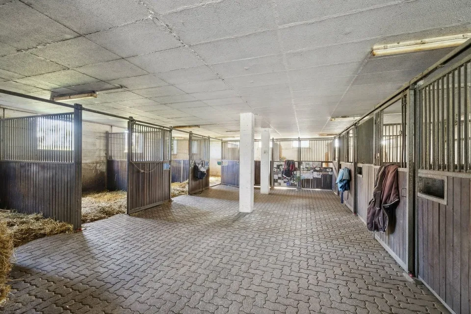 Esclusiva SOTHEBY'S Centro Equestre con Rendita – foto 5 di 13