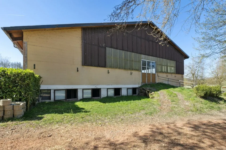 Esclusiva SOTHEBY'S Centro Equestre con Rendita – foto 4 di 13