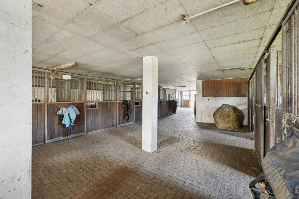 Esclusiva SOTHEBY'S Centro Equestre con Rendita – foto 6 di 13
