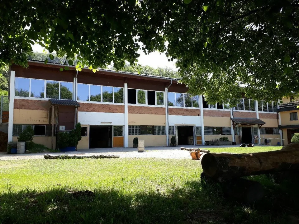 Esclusiva SOTHEBY'S Centro Equestre con Rendita – foto 10 di 13