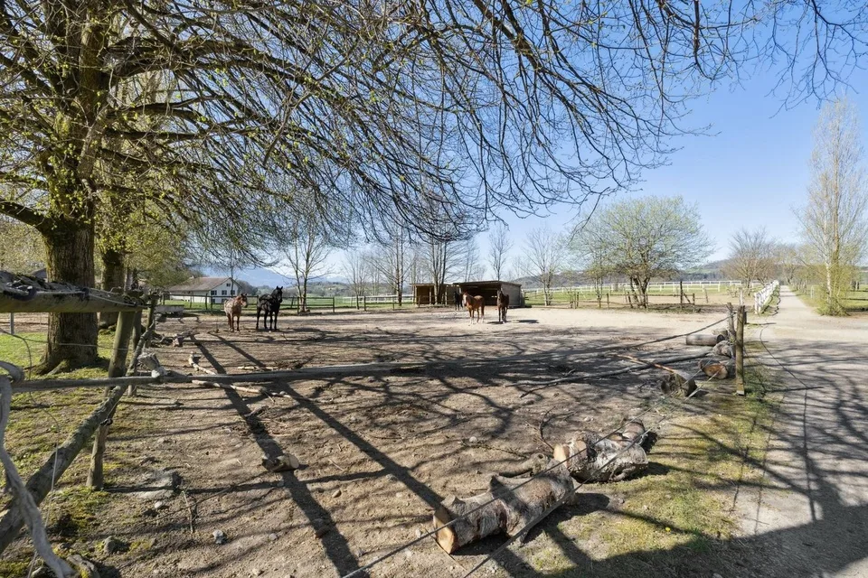 Esclusiva SOTHEBY'S Centro Equestre con Rendita – foto 11 di 13
