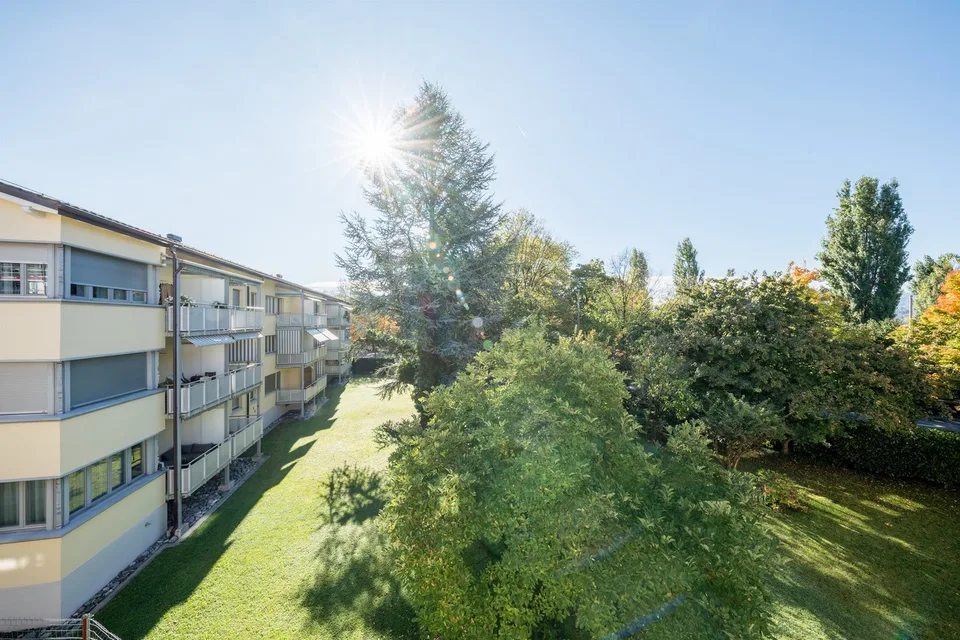 Faccia a faccia con il lago di Zurigo - Tuffati nell'acqua fresca! – foto 2 di 8