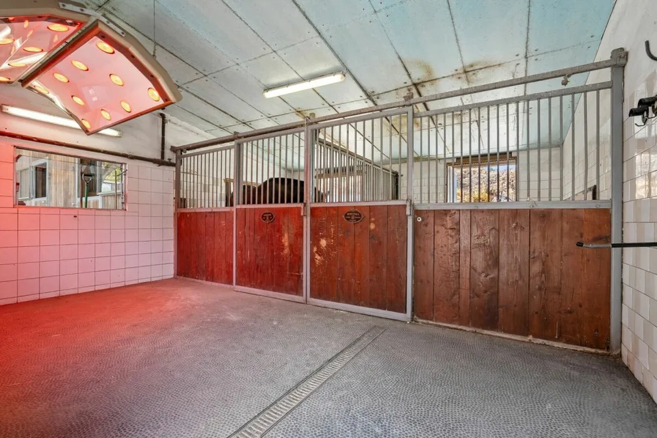 Écurie, manège et installation de conduite ainsi que pâturages directement à la maison – photo 3 sur 9