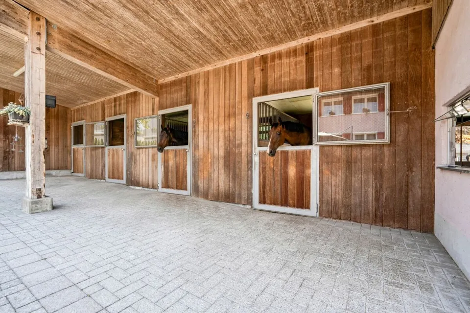 Écurie, manège et installation de conduite ainsi que pâturages directement à la maison – photo 2 sur 9