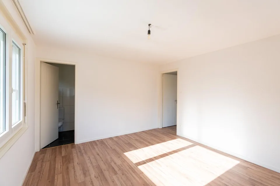Renovated and bright 2.5-room apartment with balcony
