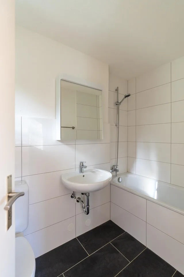 Renovated and bright 2.5-room apartment with balcony