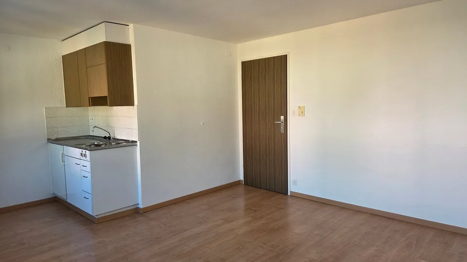 Apartment located next to the CFF train station