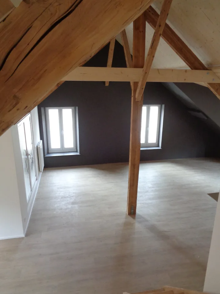 Magnificent apartment in the city center
