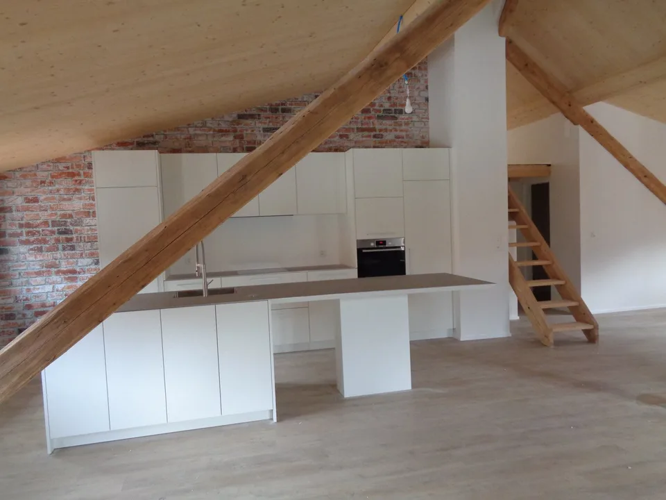Magnificent apartment in the city center