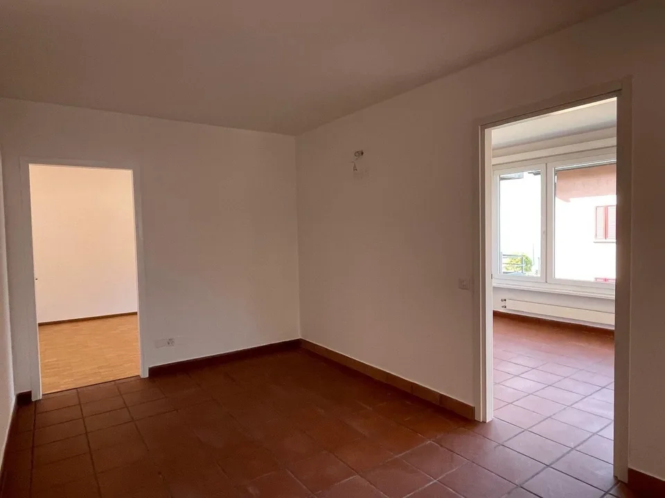 Bright 3.5-room apartment in Vira (Gambarogno) – FULL LAKE VIEW!