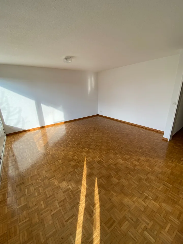 Cozy 4.5-room apartment in a sunny and very central location