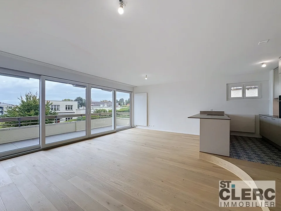 Magnifique appartement en duplex avec balcon et jardin
