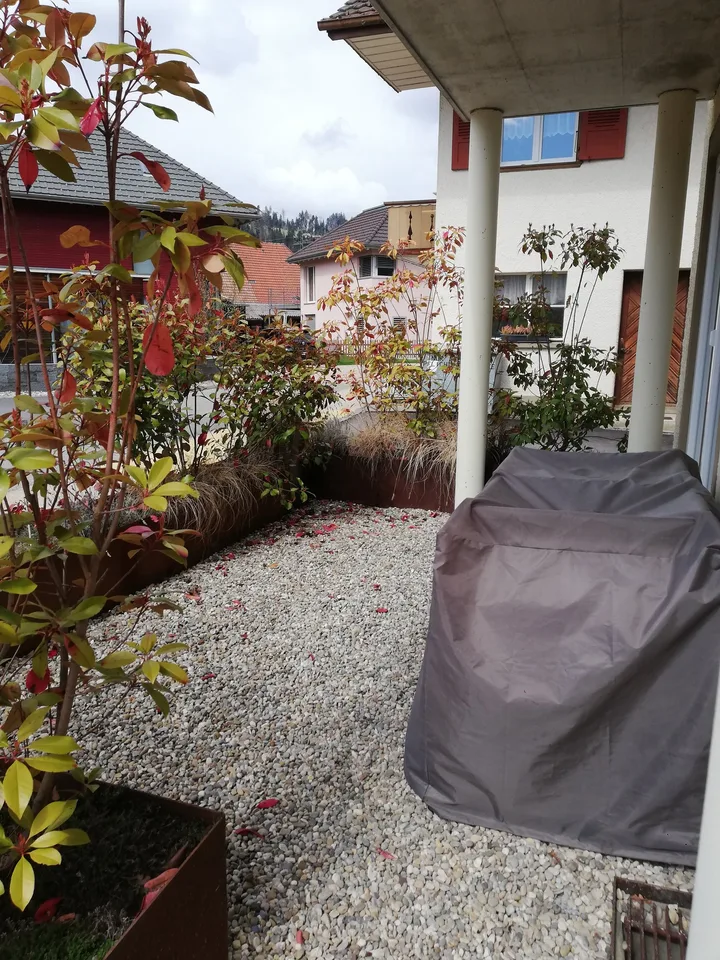 Charming 2.5-room ground floor apartment