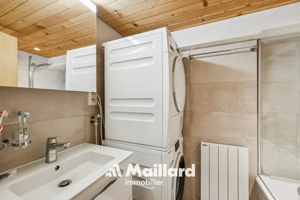 Building with 4 apartments near Diablerets – photo 7 of 14