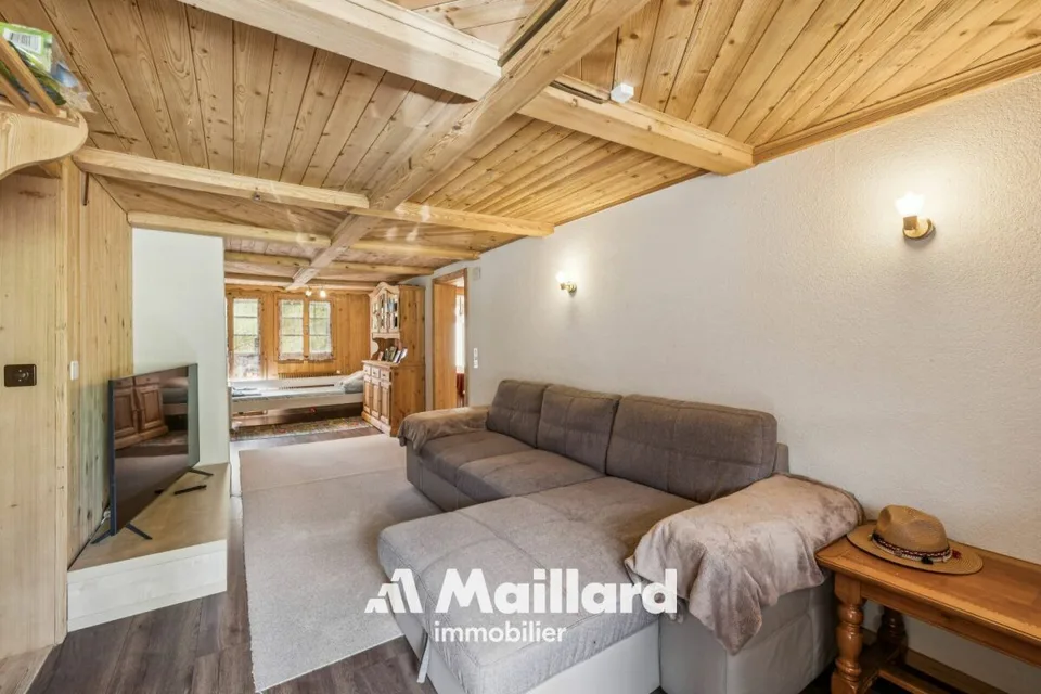Building with 4 apartments near Diablerets – photo 5 of 14