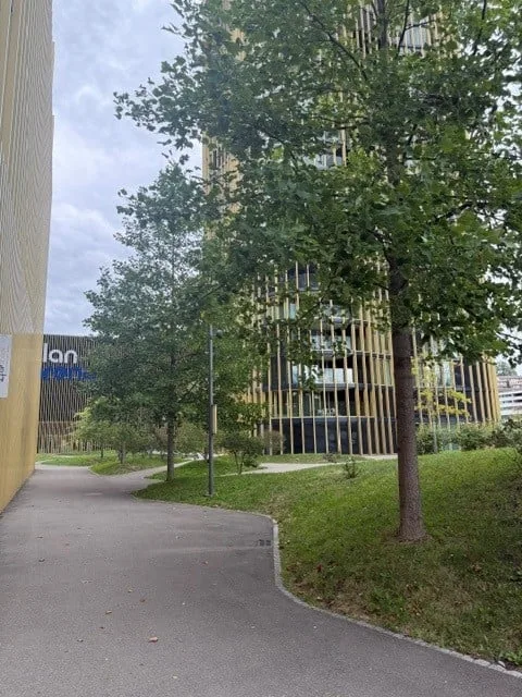 Attraktive Gewerbefläche im Sportgebäude Luzern – Foto 3 von 7