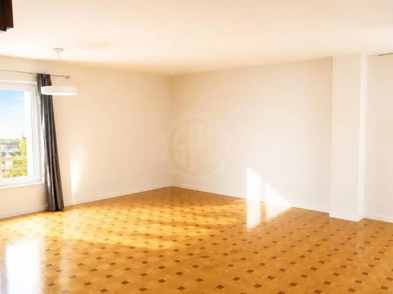 Charming apartment - Genolier