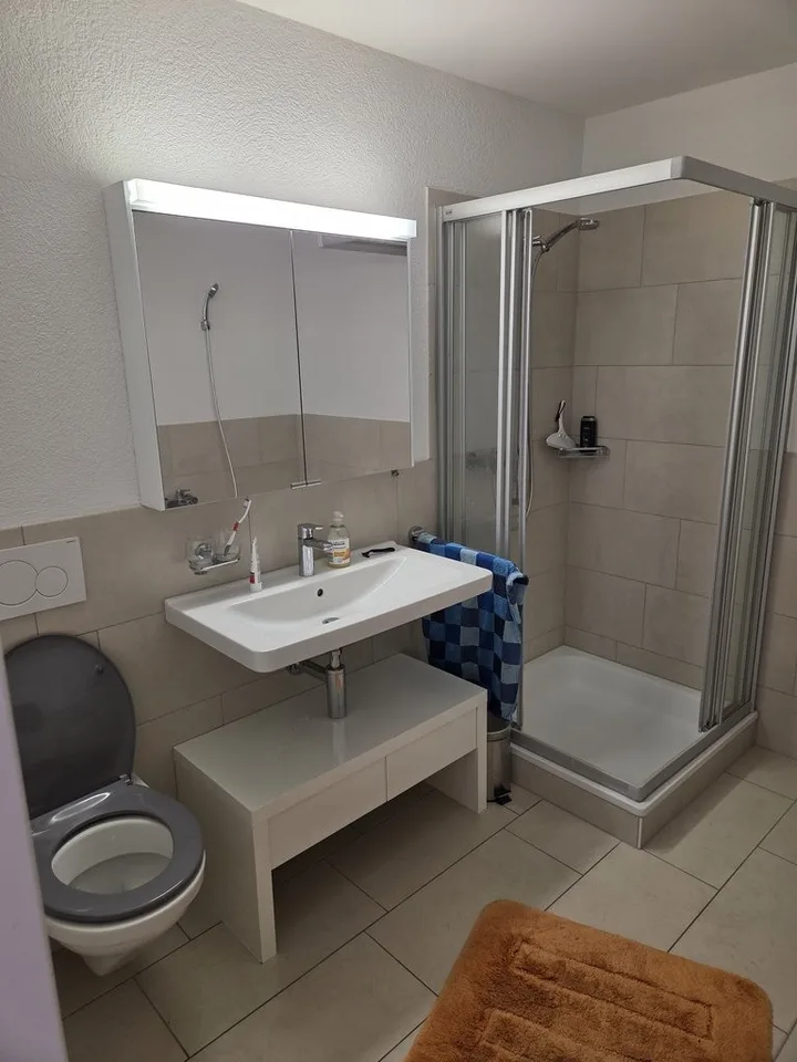 Appartamento luminoso 3.5 locali sul Reno - Vivere a Eglisau con charme