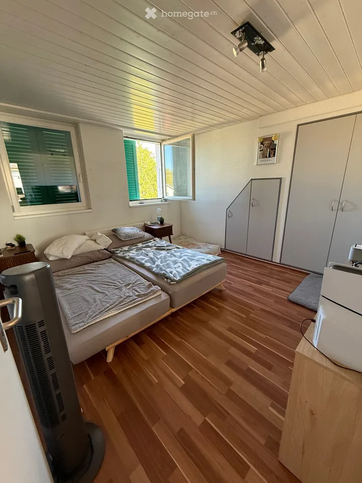 Appartement en mansarde à Obergösgen