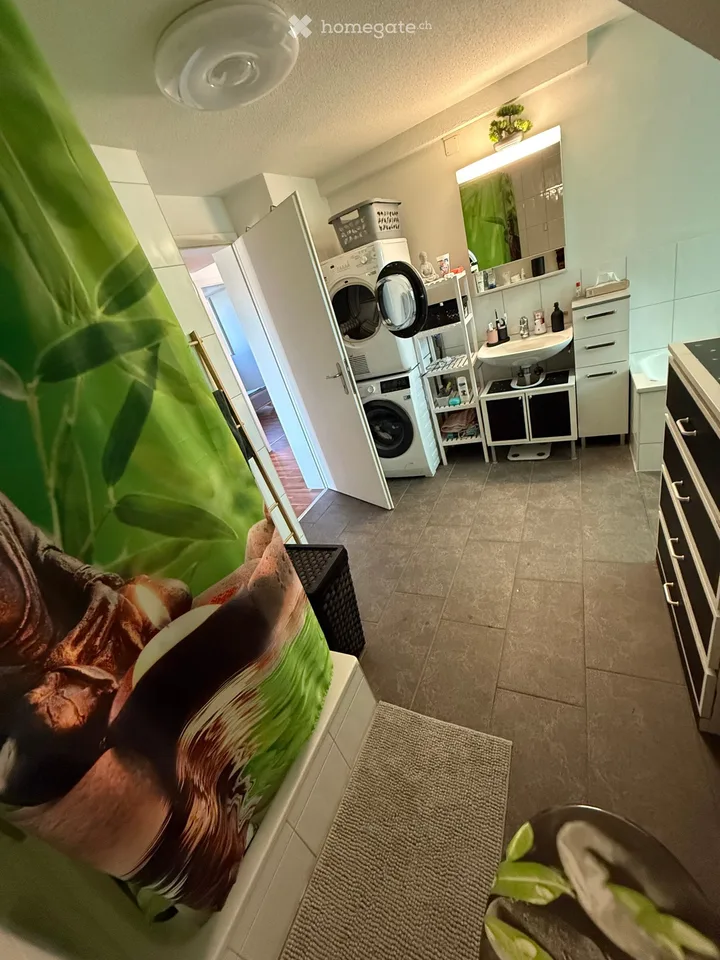 Appartement en mansarde à Obergösgen