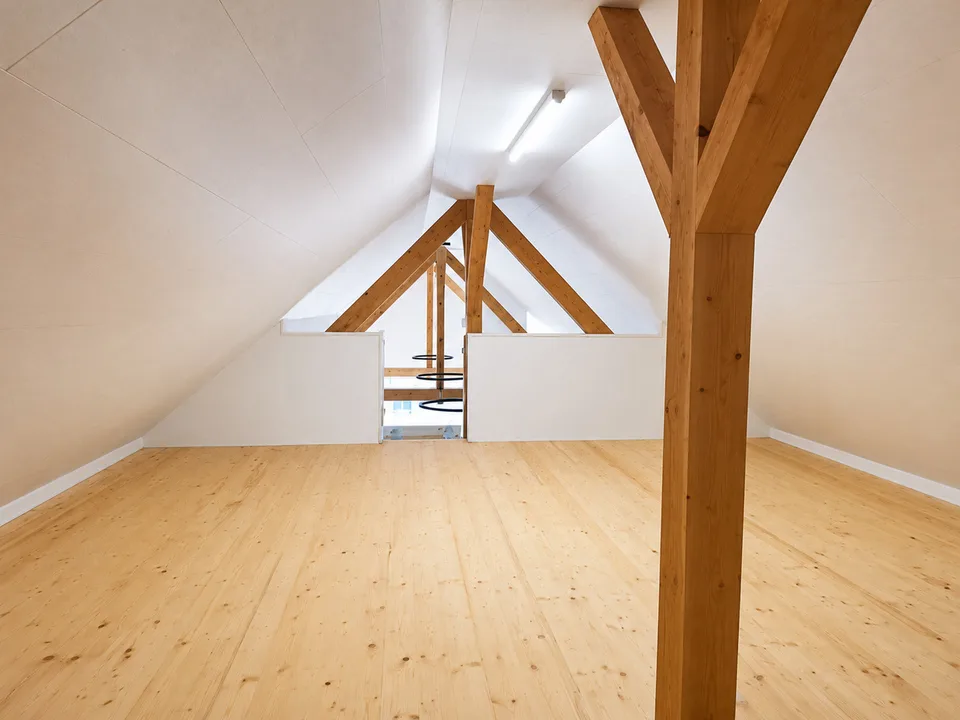 Votre maison spacieuse : appartement de 5,5 pièces rénové de manière rêveuse
