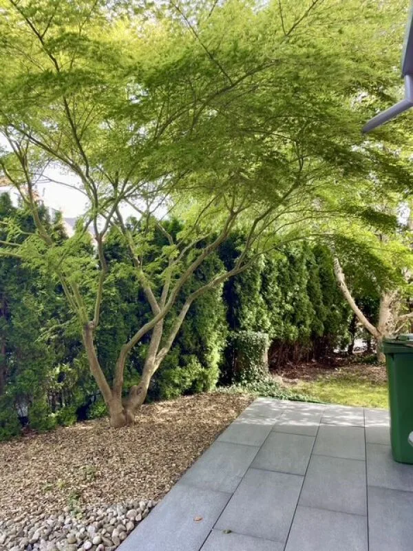 Casa a schiera, lorda, centrale, tranquilla con linguaggio formale chiaro – foto 7 di 20