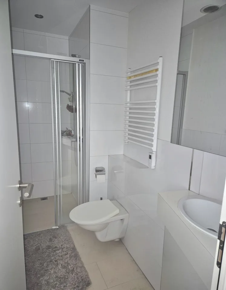 zentrale und moderne 4.5-Zimmer-Wohnung