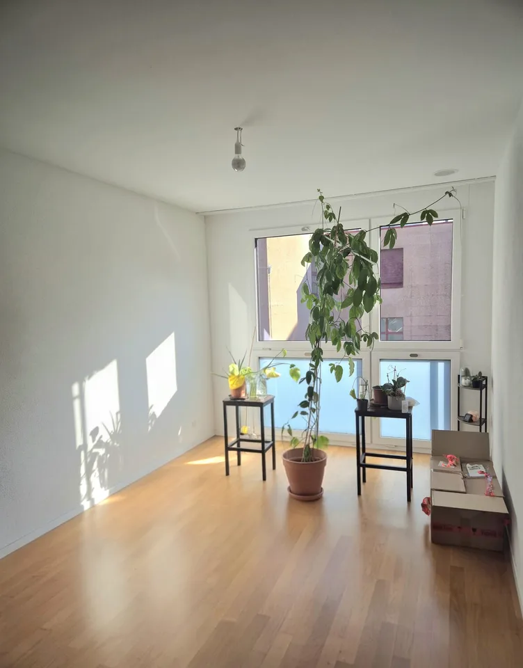 zentrale und moderne 4.5-Zimmer-Wohnung