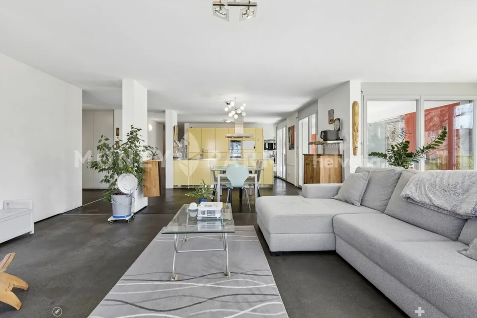 Grand appartement lumineux de 6.5-pièces – foto 4 di 15