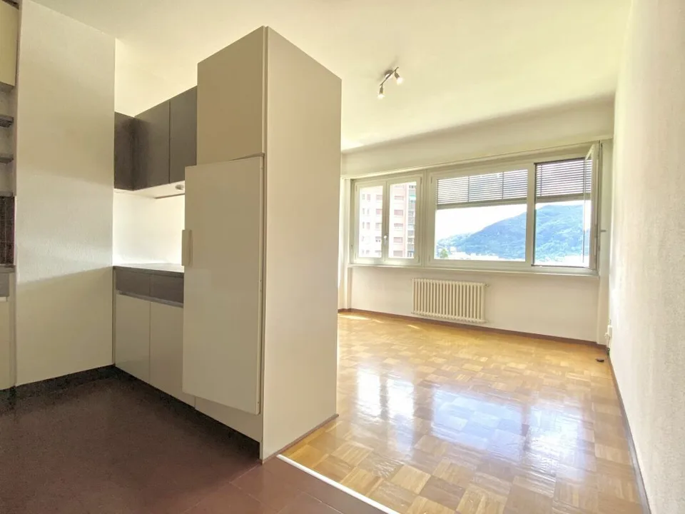 3 Zimmer Wohnung, 6833 Vacallo