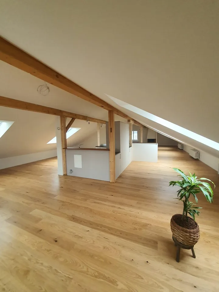 Vaste appartement loft au dernier étage
