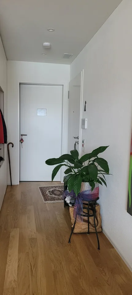 2½ ZI-WOHNUNG IN BERN - BÜMPLIZ, MÖBLIERT, TEMPORÄR – foto 7 di 7